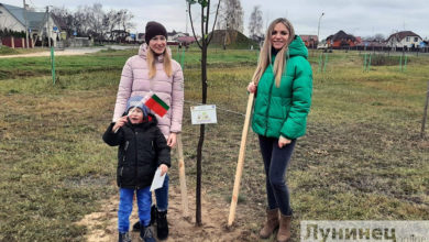 Фотофакт. Лунинецкие семьи высадили липы в сквере семейных деревьев