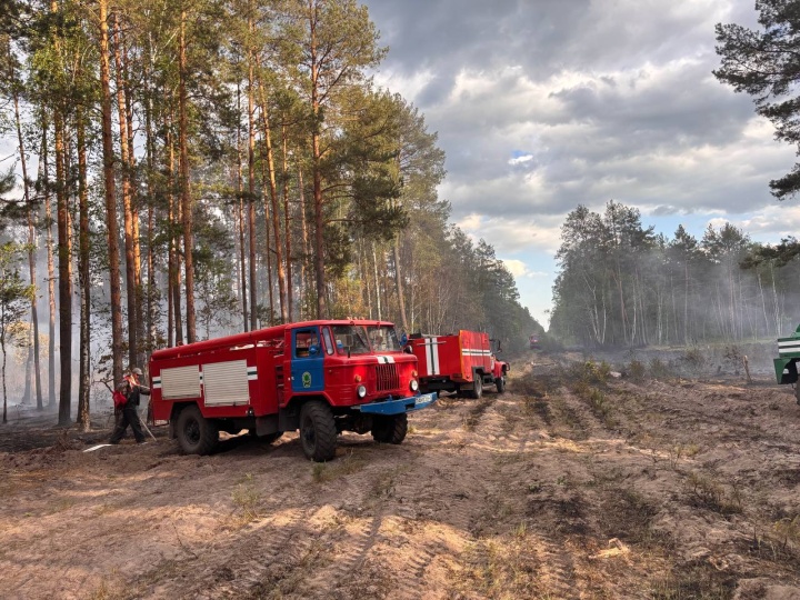 Лесной пожар на более 11 гектарах бушевал в Брестской области 