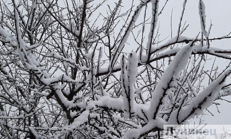 Сильный снег и метель ожидаются в Беларуси 11 февраля