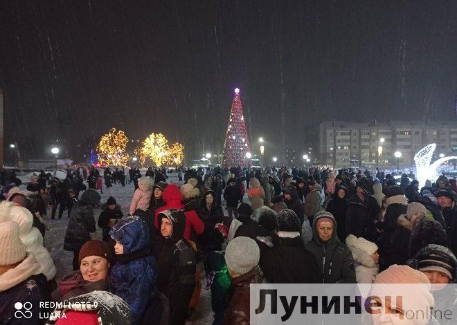 В Микашевичах открыли главную городскую новогоднюю ёлку