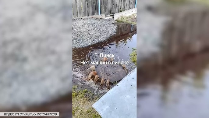 В Пинске проблемы с канализацией в частном секторе. Кто должен прийти на помощь?