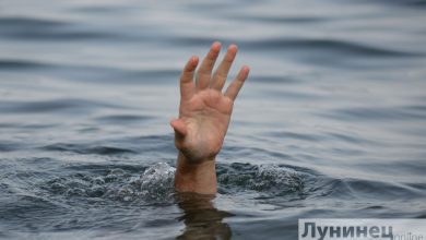 Пенсионер утонул в реке Цна