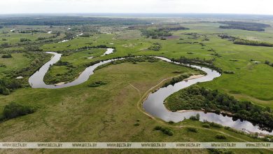 На реках Беларуси сохраняется спад уровней воды. В Припяти тоже…