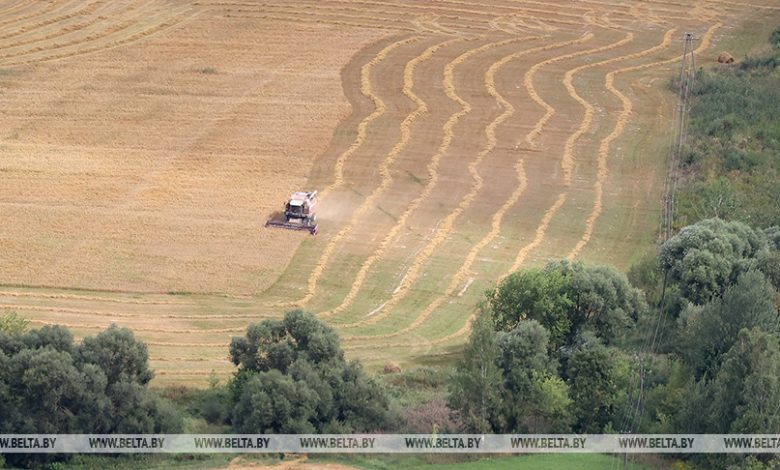 Лукашенко потребовал достойно закончить сельскохозяйственный год