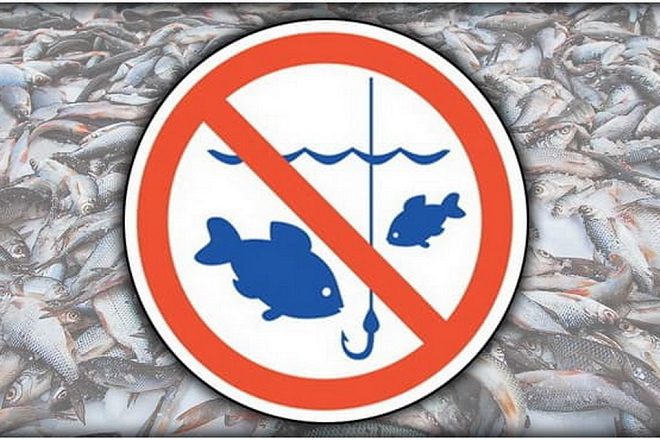 Устанавливается запрет на любительское рыболовство в канале «Микашевичский» (Лунинецкий район)