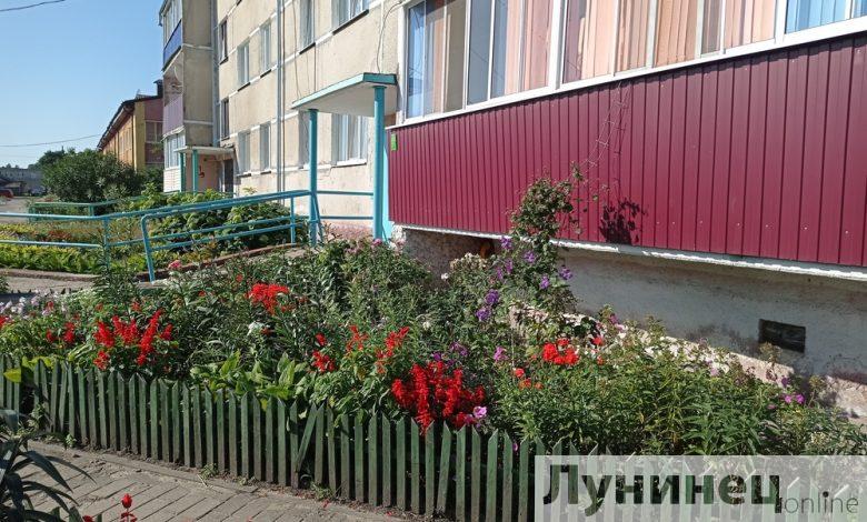 В настоящий цветочный квартал превратился жилой микрорайон по улице Мелиоративной в Микашевичах