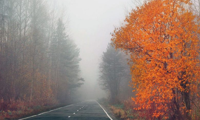 Оранжевый уровень опасности объявлен в Беларуси 9 октября из-за тумана