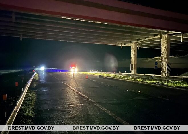 На дорогах Брестской области произошло 11 ДТП. Три человека погибли…