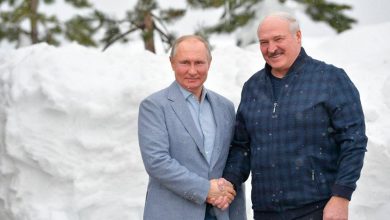 В Сочи прошли переговоры Президента Беларуси Александра Лукашенко и Президента России Владимира Путина