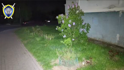 Ребенок выпал из окна пятого этажа в Смолевичском районе