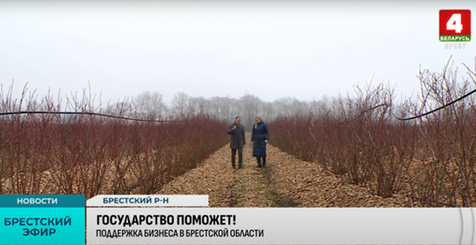 Брестская область в тройке лидеров по количеству субъектов малого и среднего бизнеса