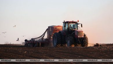 Госконтроль выявляет нарушения при проведении весенне-полевых работ в Брестской области. Все подробности