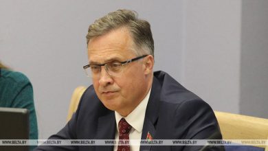 ПА ОБСЕ не сможет направить наблюдателей на президентские выборы в Беларусь — Савиных