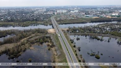 Белгидромет: в ближайшие дни уровень воды на Припяти у Мозыря достигнет опасной высокой отметки