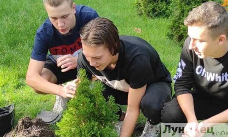 Аллея БРСМ появилась в Лунинце