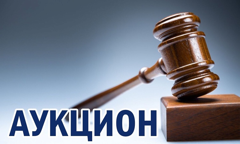 С аукциона продается пустующий жилой дом и квартира в Микашевичах