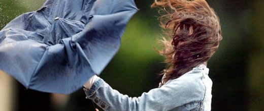 Грозы и сильный ветер прогнозируют в Беларуси 25 августа