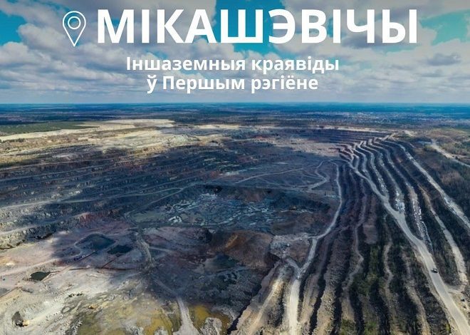 Мікашэвічы. Іншаземныя краявіды ў Першым рэгіёне (Лунінецкі раён)