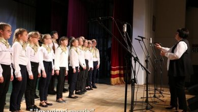 Лунинецкие школьники стали призерами областного песенного форума