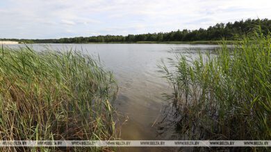 Двое мужчин утонули за сутки в Брестской области