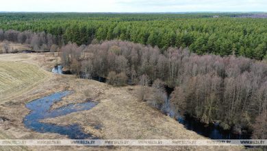 Прокуратура Брестской области выявила нарушения при использовании мелиорированных земель