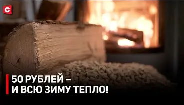 НАМНОГО ДЕШЕВЛЕ ГАЗА! Как сэкономить в холода, рассказали в Брестской области 