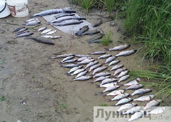 Жителя Лунинецкого района задержали за браконьерство на озере «Глубокое»