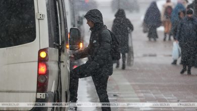 В Брестской области привлекли к ответственности около 140 нарушителей правил перевозки пассажиров