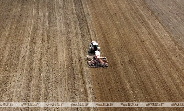 Дополнительные 3,5 тыс. га земель вовлечены в сельхозоборот в Брестской области