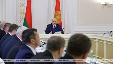 Лукашенко: местной вертикали хватит витать в облаках и ждать указаний из центра