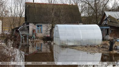 Паводковые и талые воды подтопили 48 домов и 80 подворий в Брестской области, в том числе и в Лунинецком районе