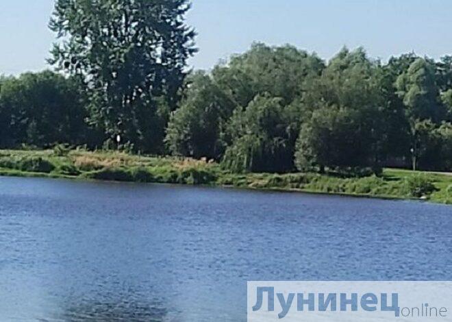 Поиски жителя Микашевич. Из Пинска приехали водолазы