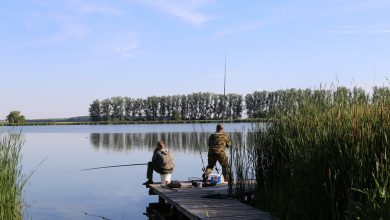 Разрешенные орудия и способы лова при любительском рыболовстве