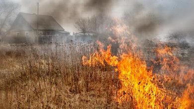 Пожары в экосистемах, в том числе и палы травы — 17 погибших. Как разрешено сжигать мусор на приусадебном участке. Рассказывают специалисты