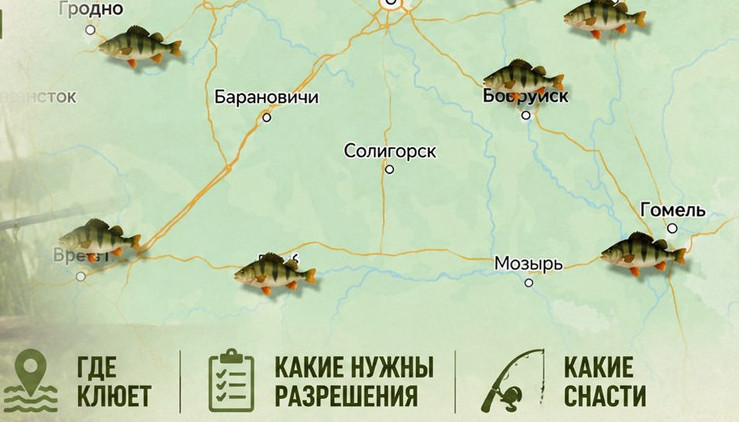 Где в Беларуси клюет, нормы вылова и какие снасти использовать