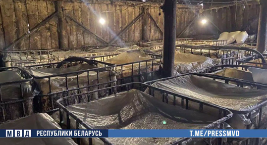  Изъято 50 тонн браги и сотни литров самогона. Задержаны самогонщики-стахановцы 