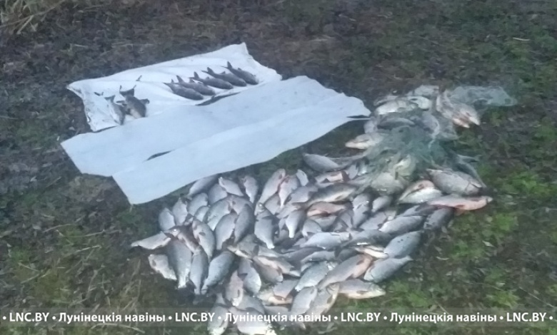 Более 16 тысяч | Браконьер заплатил ущерб, штраф и получил ограничение свободы