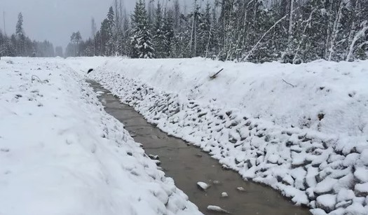 Комитет госконтроля проверил мелиоративные системы