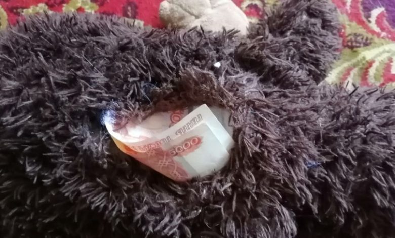 На Брестчине похищенные деньги бизнес-леди нашли зашитыми в мягкой игрушке