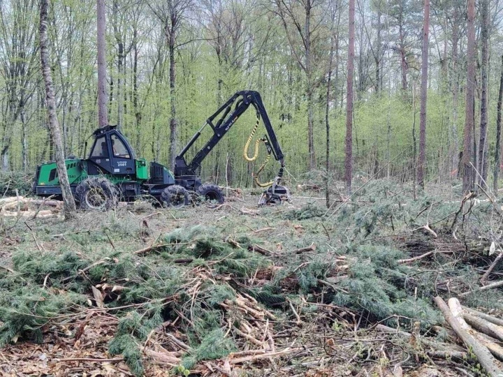Выездные рейды по лесничествам проводятся в Лунинецком лесхозе