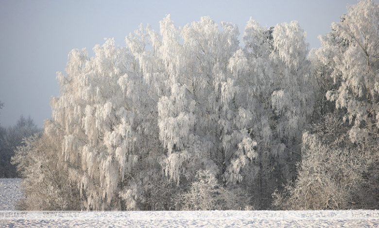 Погода не радует. Оранжевый уровень опасности объявлен в Беларуси на 12 декабря. В Лунинецком районе — осадки