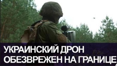 АТАКА ДРОНА! Украинский беспилотник обезвредили на белорусско-украинской границе (видео)