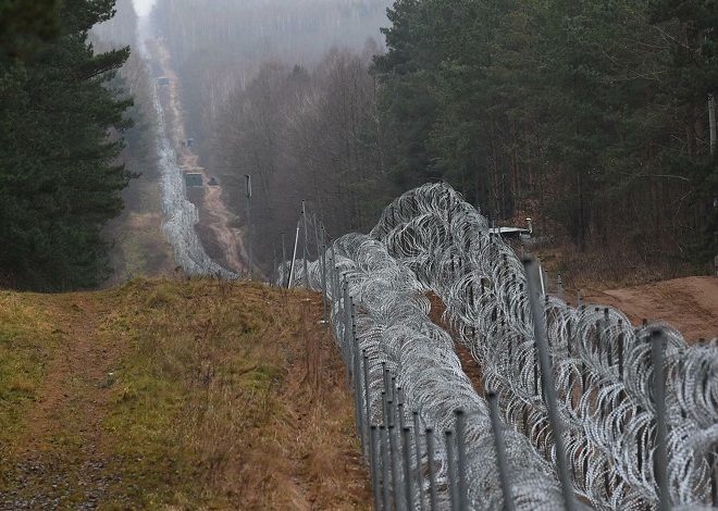 За выходные, 14 и 15 апреля, белорусскими пограничниками на границе с Польшей и Латвией обнаружены два мертвых лося