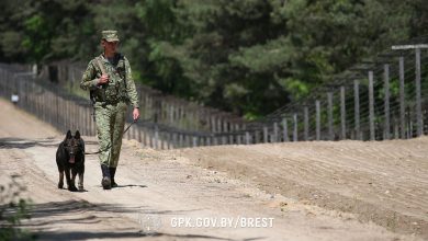 Упрощена процедура по выдаче пропусков в пограничную зону и полосу в преддверии Радуницы