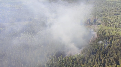 С лесным пожаром борются в Брестской области