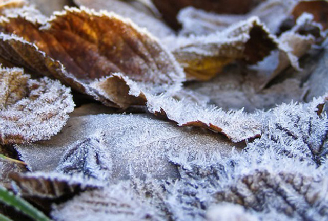 Ударят морозы! В Беларуси объявлен оранжевый уровень опасности