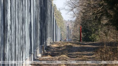 Забор в Беловежской пуще: Беларусь заявила о нарушении Польшей положений конвенции ЮНЕСКО