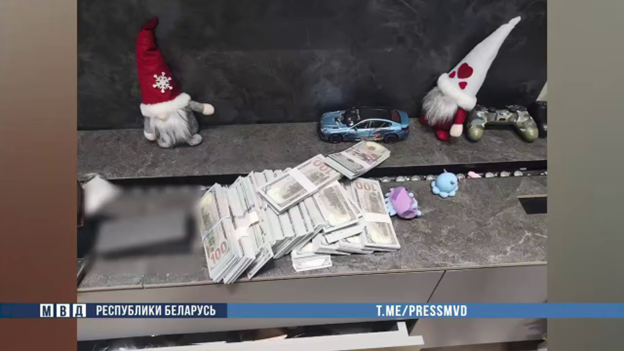 Мошенник "крипто-наставник" задержан в Брестской области 