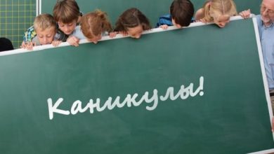 Стали известны даты школьных каникул в Беларуси на 2022/2023 учебный год