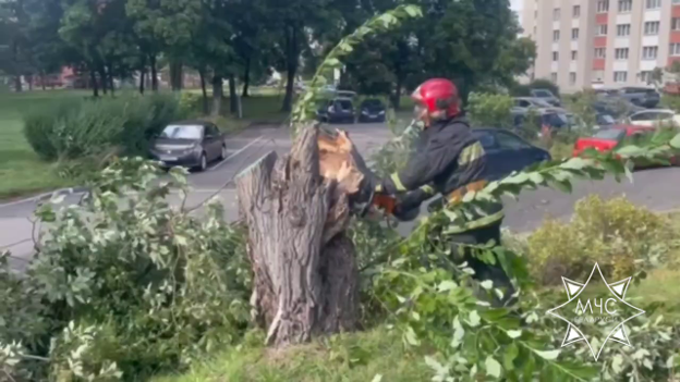 Сносило под корень! Спасатели помогают ликвидировать последствия урагана в Беларуси